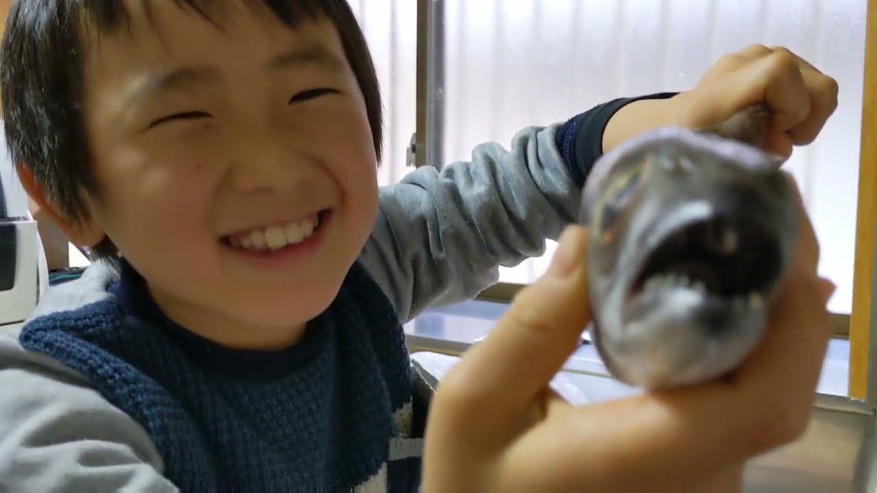 動画 魚をさばく初心者 天然温泉に高級魚をご招待 新種のお魚も発見 Onsen Fan 温泉動画 動画 魚をさばく初心者 天然温泉に高級魚をご招待 新種のお魚も発見 Onsen Fan 温泉動画