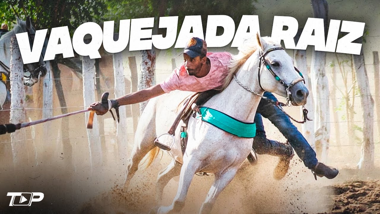 FORRÓ DE PAREDÃO - O Melhor do Forró Pra Vaquejada (PAREDÃO 2026) PRA DERRUBAR BOI