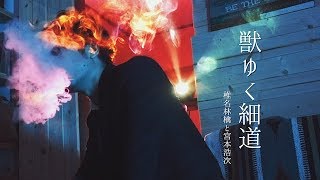 【1人2役】"獣ゆく細道" - 椎名林檎と宮本浩次 /coverd by 財部亮治