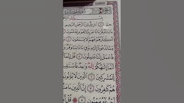 آيات من القرآن الكريم سوره فصلت#التامل #محمدحسن