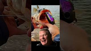 rewards for throwing big baits #bigswimbaits #wakebait #bassfishing #largemouthbass #fishing