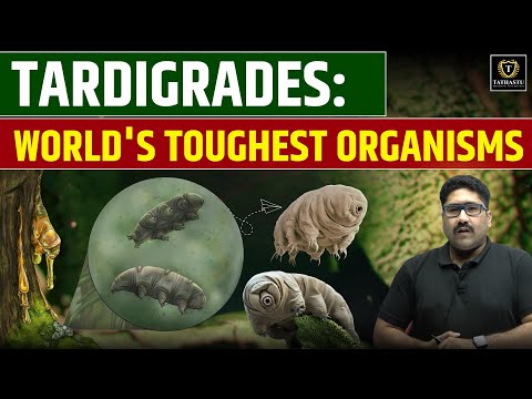 Smallest but toughest organism - Tardigrades|Cryptobiosis|Biotechnology| Biodiversity| By RISHI Sir