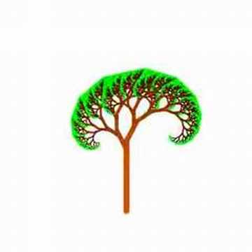 Fractal Trees