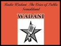 Radio wadani codka shacabka somaliland xidhidhiyahnorth americawa salebaan