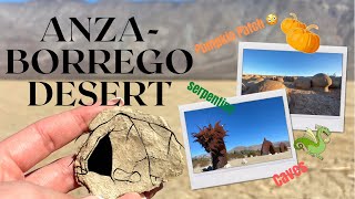 Things to do in Anza Borrego Desert - Pumpkin patch, mysterious cave and more