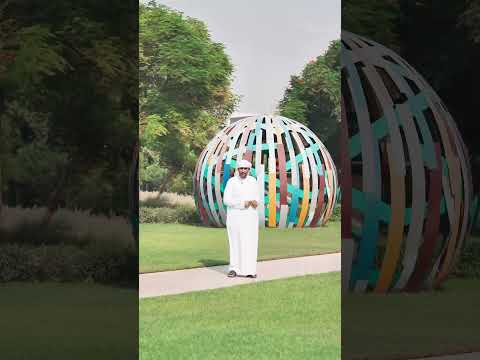 ذا فالي