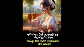 හැකි සෑම විටමක පින් කරන්න..? srilanka motivation buddhism buddha viral shorts foryou fyp sl