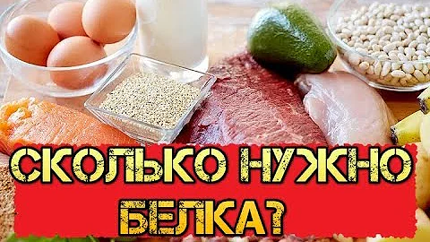 Как набрать норму Белка в день