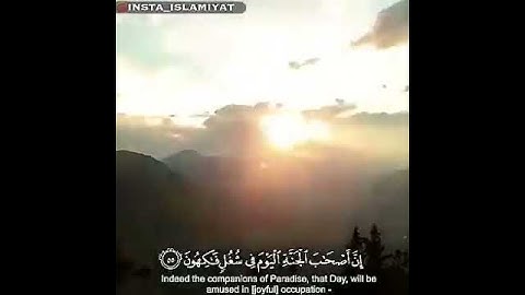 الشيخ صلاح مصلي تلاوة خاشعه