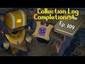 Collection log completionist 109