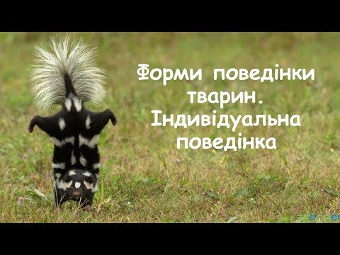 Форми поведінки тварин