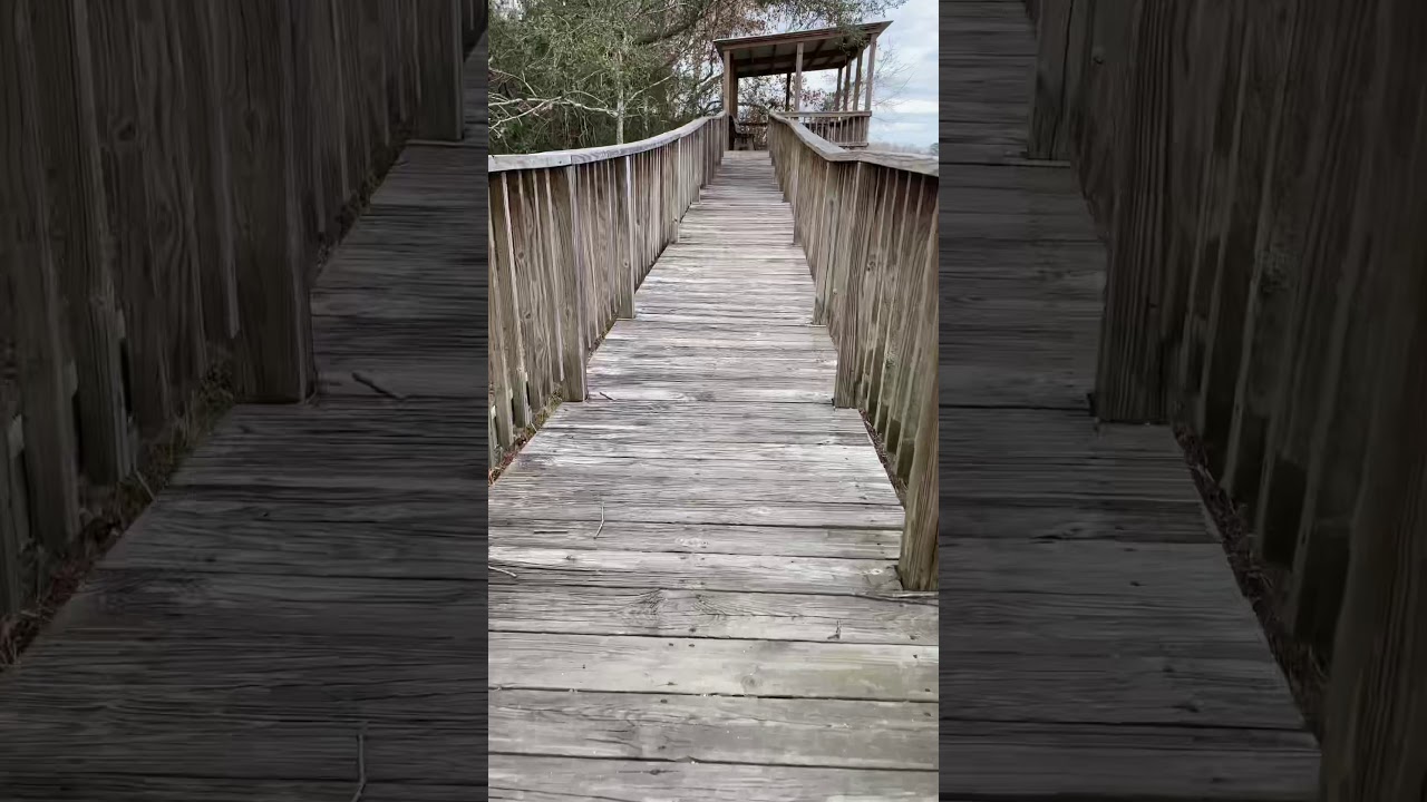 Big Barren Land | Armand Bayou nature Trail |