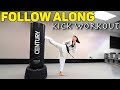 BEGINNER FOLLOW ALONG KICK WORKOUT | TKD