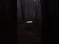 THE LIGHTS KEPT TURNING OFF… #story #creepy #horror
