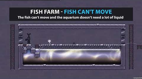Fish Farm - Fish can