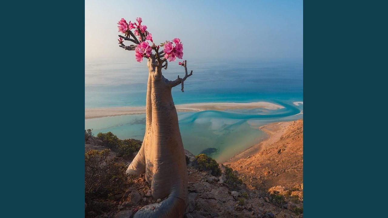 좋은 친구 rap pop