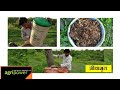 जीवामृत बनवण्याची योग्य पद्धत. How to make a Jivamrut. नैसर्गिक शेती.