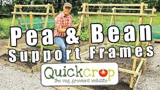 How to build wooden support frames for peas and beans and other climbing plants. These are longer versions of a standard 