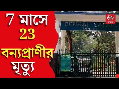 Bengal Safari Park | 7 মাসে 23 বন্যপ্রাণীর মৃত্যু বেঙ্গল সাফারি পার্কে, গাফিলতি-অনিয়মের অভিযোগ