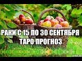 Раки с 15 по 30 Сентября 2019 Таро Прогноз