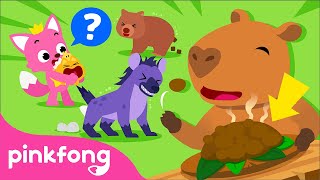 fun facts about animal poop learn with pinkfong baby shark pinkfong for kids