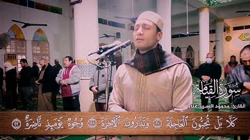 وُجُوهٌ يَوْمَئِذٍ نَاضِرَةٌ (22) إِلَى رَبِّهَا نَاظِرَةٌ تلاوه خاشعه للقارئ محمود غنام
