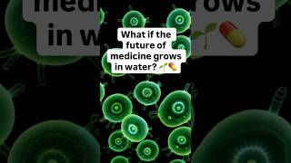 Algae & Medicine: Life-Saving Slime #algae #science #climateaction