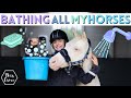 Bathing All of My HORSES! Spring Clean AD | This Esme