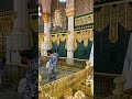سلام يا رسول الله سلام يا رسول الله
