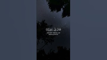 فَنَظَرَ نَظْرَةً فِى ٱلنُّجُومِ - القارئ إدريس أبكر