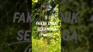 Ini adalah sambungan dari video 5 Fakta unik serangga #education #pengetahuan #faktaunik #faktahewan