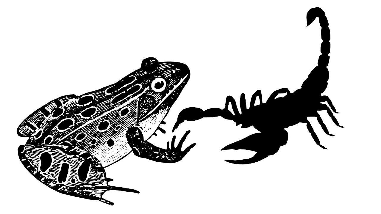 Le scorpion et la grenouille YouTube — free download