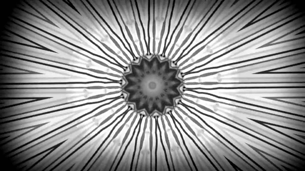 Download Superfast Jellyfish - a visual accompaniment MP3