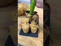 7/4/26: Ricette di Danilo R. "Ricicliamo il cioccolato"