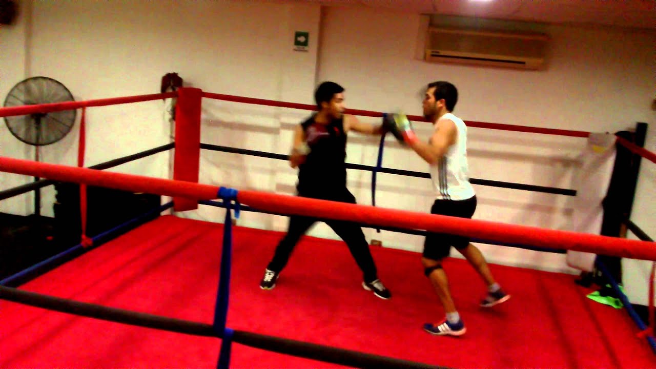 Funny BoXinG - Focos David S. (T-POR) 2 Round