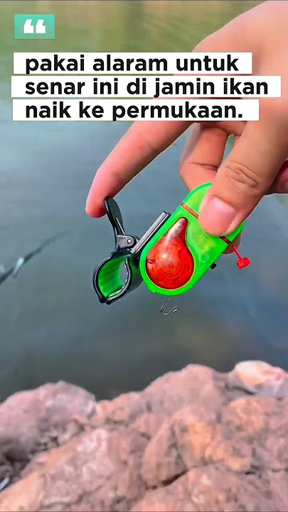 pakai ini kalau ketiduran ga takut joran tenggelam 😂 #mancing #fishing #angler #mancingmania #shorts