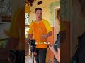 Como fazer o cachorro PARAR de PULAR em você! 🐕
