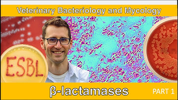 ESBLs and Carbapenemases (Part 1) - Veterinary Bacteriology and Mycology