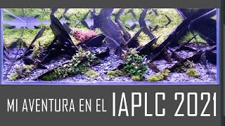 De como el brutalismo madrileño inspiro mi acuario para el IAPLC 2021