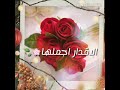 يارب اكتـب لي في العام الجــديد