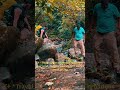 ✨ Escape Into the Heart of Nature - ETHEREAL SINHARAJA / DON'T MISS THIS EVER