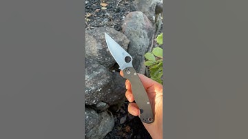 Spyderco Paramilitary 2 #edc #edcknife #knivesout