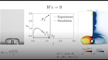 Movie S3. Singular Worthington jet enhances drop impact forces