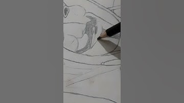 Jonathan James Hacker drawing