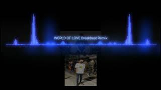 World Of Love Breakbeat Remix {Risbeats}
