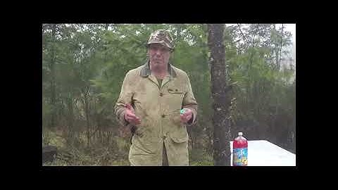 The Trees - Valheim Shorts