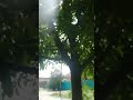 Старая рубрика. Лето Новоалександровска