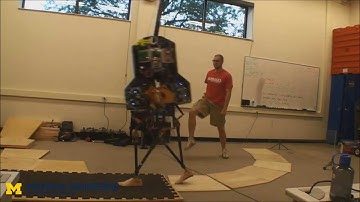 MARLO: One Tough Bipedal Robot