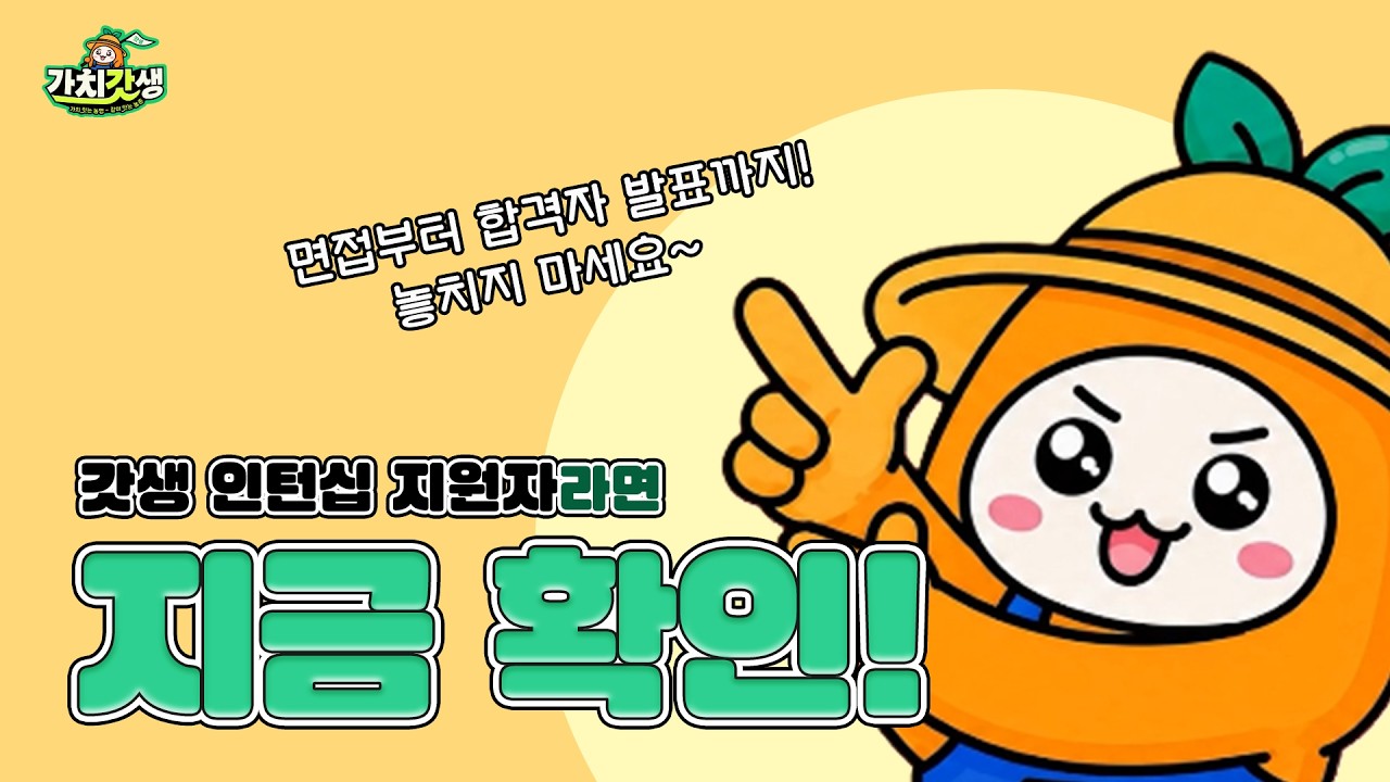 갓생 인턴십 지원 완료! 그 다음 일정은?