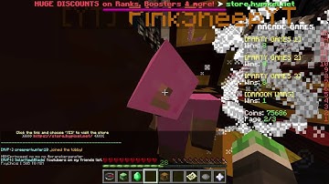 i saw pink sheep on arcade lobby on hypixel on lobby 7! come now!